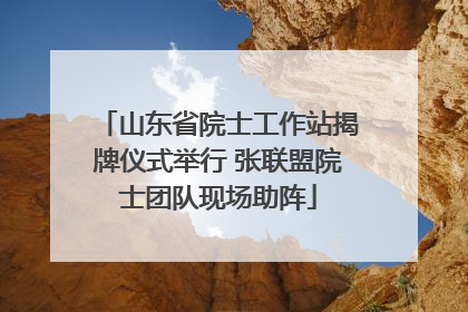 山东省院士工作站揭牌仪式举行 张联盟院士团队现场助阵