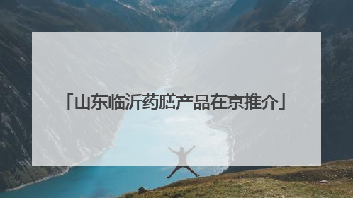 山东临沂药膳产品在京推介
