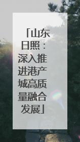 山东日照：深入推进港产城高质量融合发展