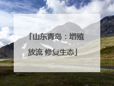 山东青岛：增殖放流 修复生态