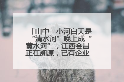 山中一小河白天是“清水河”晚上成“黄水河”，江西会昌正在溯源，已有企业被要求停工