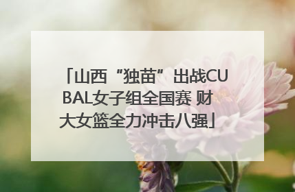 山西“独苗”出战CUBAL女子组全国赛 财大女篮全力冲击八强