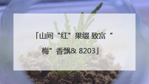 山间“红”果缀 致富“梅”香飘& 8203