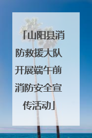 山阳县消防救援大队开展端午前消防安全宣传活动