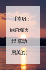 岑巩：绿茵烽火起 跃动展英姿