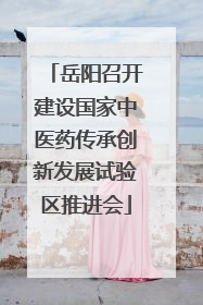 岳阳召开建设国家中医药传承创新发展试验区推进会