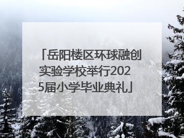 岳阳楼区环球融创实验学校举行2025届小学毕业典礼