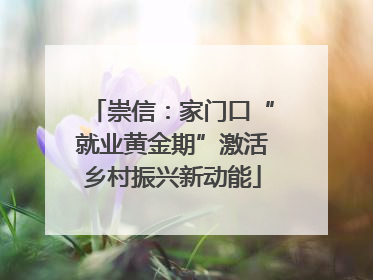 崇信：家门口“就业黄金期”激活乡村振兴新动能