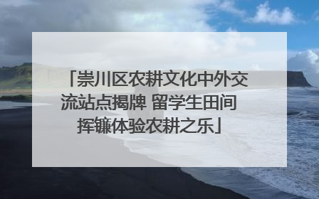 崇川区农耕文化中外交流站点揭牌 留学生田间挥镰体验农耕之乐