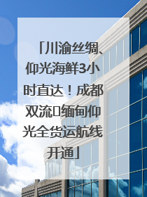 川渝丝绸、仰光海鲜3小时直达！成都双流⇌缅甸仰光全货运航线开通