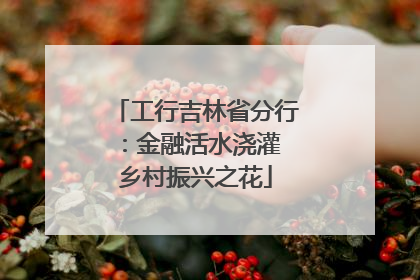 工行吉林省分行：金融活水浇灌 乡村振兴之花