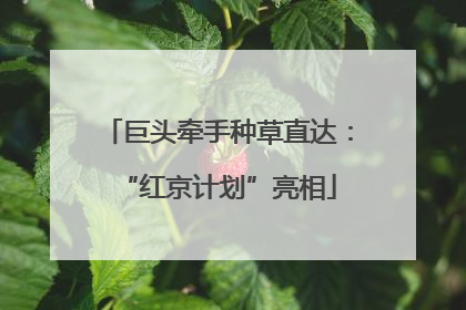 巨头牵手种草直达：“红京计划”亮相