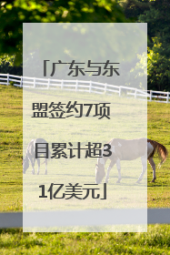 广东与东盟签约7项目累计超31亿美元