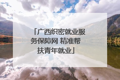 广西织密就业服务保障网 精准帮扶青年就业