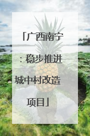 广西南宁：稳步推进城中村改造项目