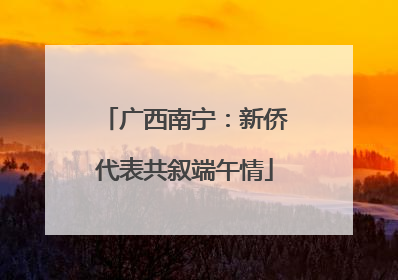 广西南宁：新侨代表共叙端午情