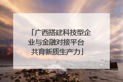 广西搭建科技型企业与金融对接平台 共育新质生产力