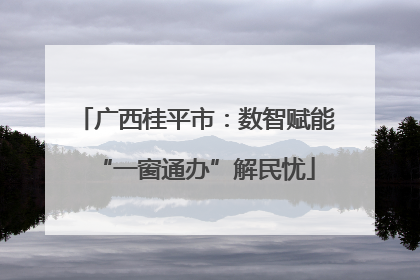 广西桂平市：数智赋能“一窗通办”解民忧