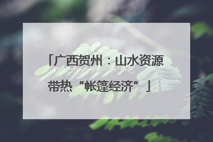 广西贺州：山水资源带热“帐篷经济”