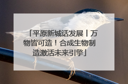 平原新城话发展丨万物皆可造！合成生物制造激活未来引擎