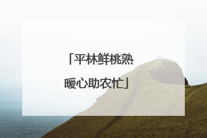 平林鲜桃熟 暖心助农忙