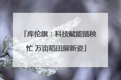 库伦旗：科技赋能插秧忙 万亩稻田展新姿