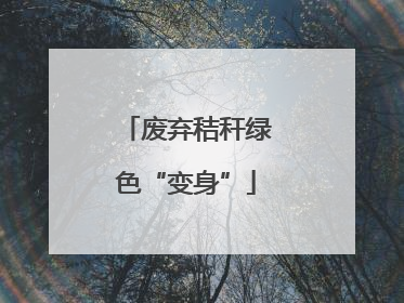 废弃秸秆绿色“变身”