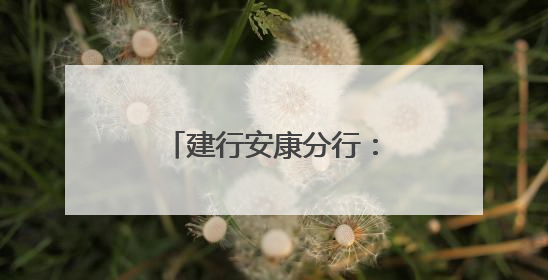 建行安康分行：社银联动聚合力 多维服务惠民生