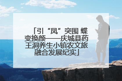 引“凤”突围 蝶变换颜——庆城县药王洞养生小镇农文旅融合发展纪实