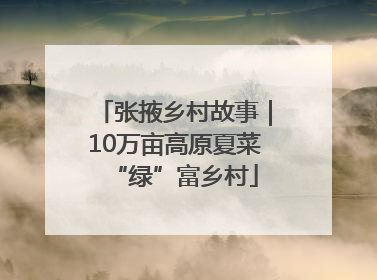 张掖乡村故事｜10万亩高原夏菜“绿”富乡村