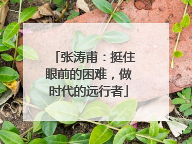 张涛甫：挺住眼前的困难，做时代的远行者