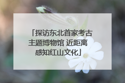 探访东北首家考古主题博物馆 近距离感知红山文化