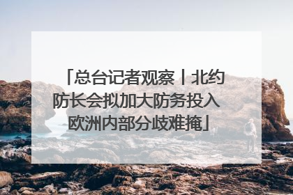 总台记者观察丨北约防长会拟加大防务投入 欧洲内部分歧难掩