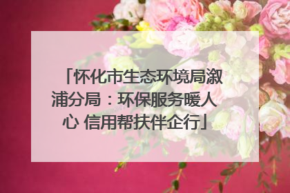 怀化市生态环境局溆浦分局：环保服务暖人心 信用帮扶伴企行
