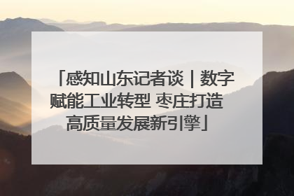 感知山东记者谈｜数字赋能工业转型 枣庄打造高质量发展新引擎