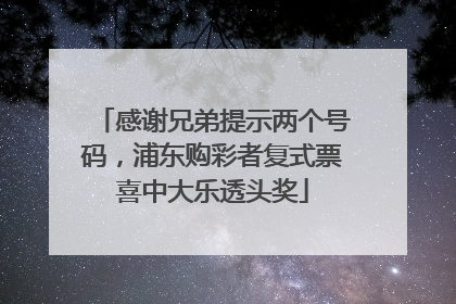 感谢兄弟提示两个号码，浦东购彩者复式票喜中大乐透头奖
