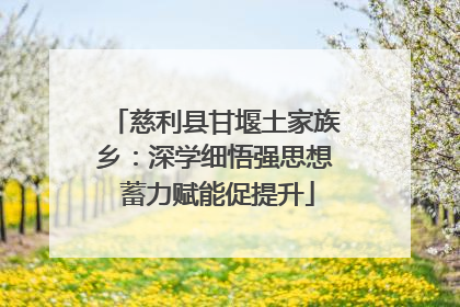 慈利县甘堰土家族乡：深学细悟强思想 蓄力赋能促提升
