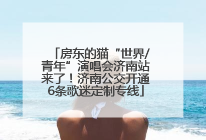 房东的猫“世界/青年”演唱会济南站来了！济南公交开通6条歌迷定制专线