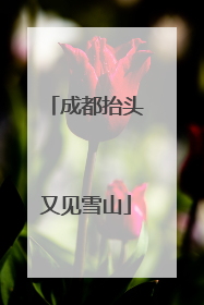 成都抬头又见雪山