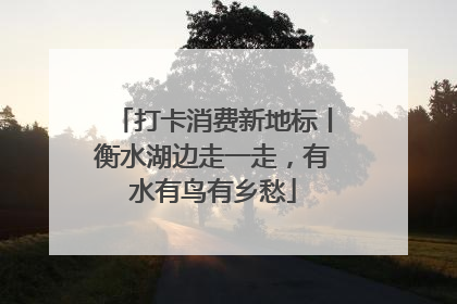 打卡消费新地标丨衡水湖边走一走，有水有鸟有乡愁