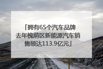 拥有65个汽车品牌 去年槐荫区新能源汽车销售额达113.9亿元
