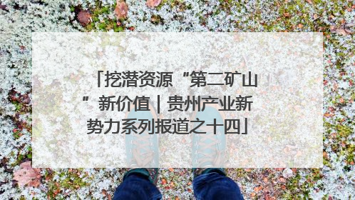 挖潜资源“第二矿山”新价值｜贵州产业新势力系列报道之十四