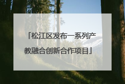松江区发布一系列产教融合创新合作项目