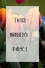 杞县：颗粒归仓丰收忙