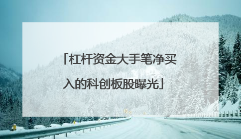 杠杆资金大手笔净买入的科创板股曝光
