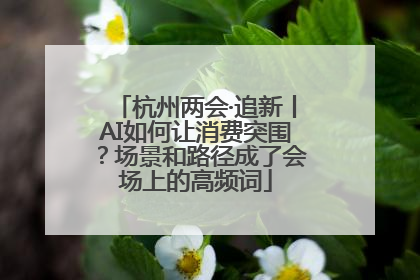 杭州两会·追新丨AI如何让消费突围？场景和路径成了会场上的高频词