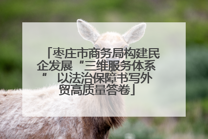 枣庄市商务局构建民企发展“三维服务体系” 以法治保障书写外贸高质量答卷