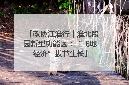 政协江淮行｜淮北段园新型功能区：“飞地经济”拔节生长