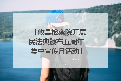 攸县检察院开展民法典颁布五周年集中宣传月活动