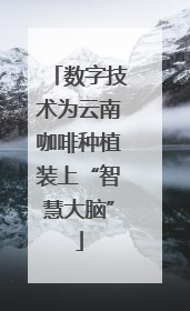 数字技术为云南咖啡种植装上“智慧大脑”